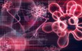 /album/a3d/neon-virus-1680x1050-jpg1/