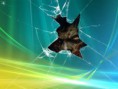 /album/fondos-rotos/wallpaper-266970-jpg/