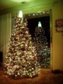 /album/navide%c3%b1as/arbol-navidad-reciclado-2-jpg/