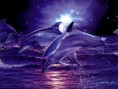/album/a3d/delfines-1024x768-jpg/