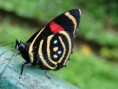 /album/naturaleza/dsc01847-jpg/