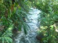 /album/naturaleza/p1080540-jpg/
