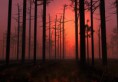 /album/naturaleza/imagenes-naturaleza-3d-jpg/