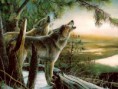 /album/naturaleza/llamada-de-la-naturaleza-jpg/